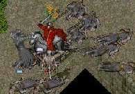 �����[���̂̎R