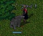 熊と格闘